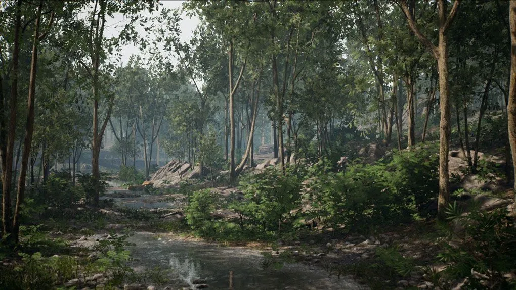 自然环境森林植物树木草地场景Unreal游戏素材 Forest Environment