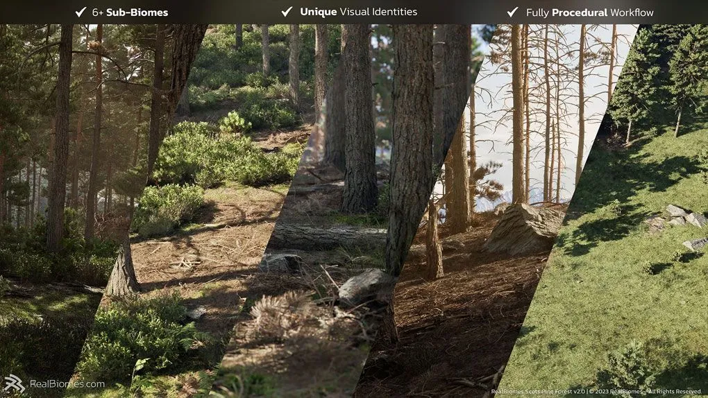 苏格兰松树森林树木植物环境场景UE游戏素材 RealBiomes - Forest, Desert Biome, Snow Forest, Rocky Desert, Desert Forest
