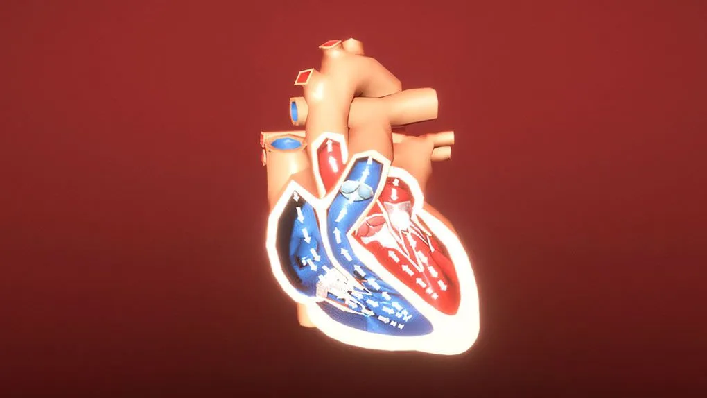 Unity医学展示可视化动画视频教程第二季