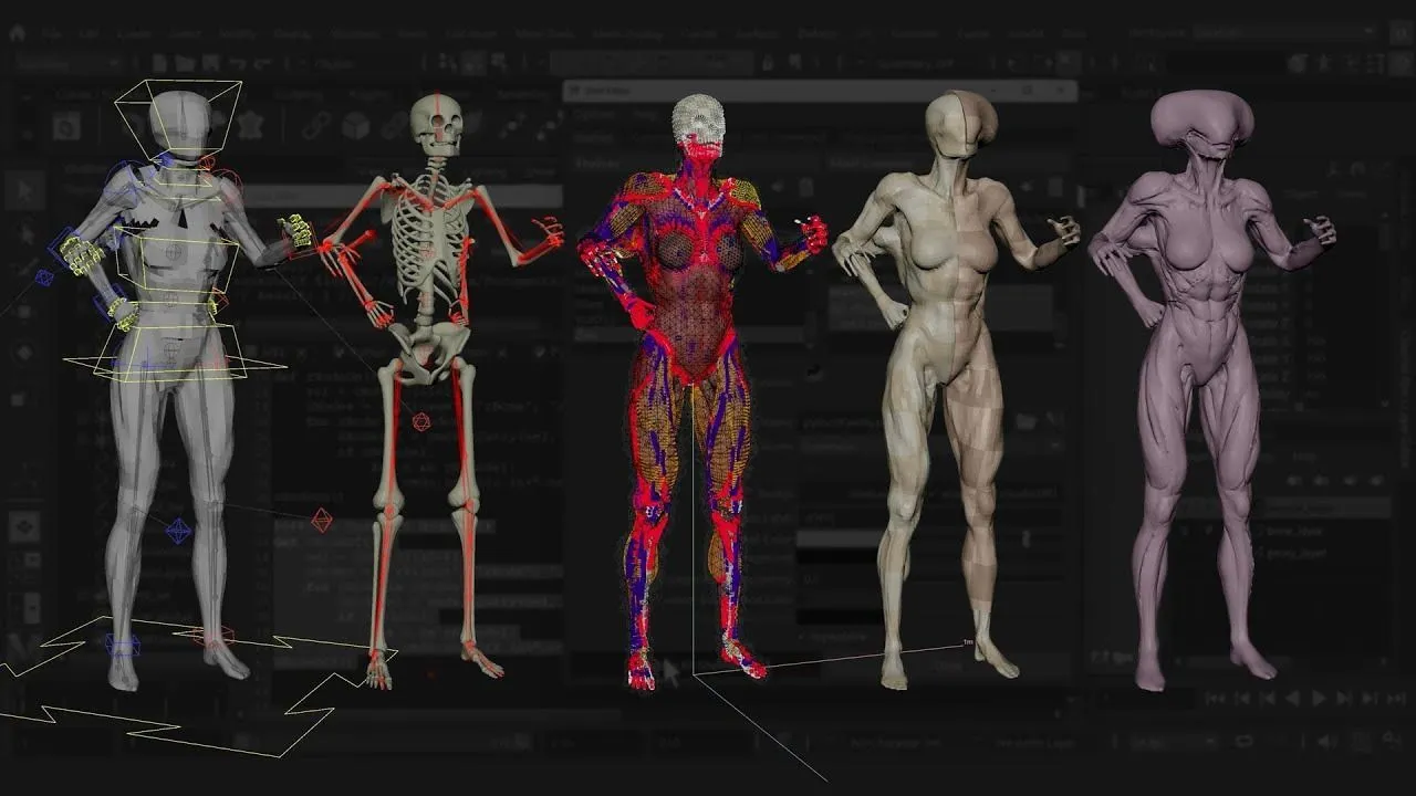 Maya中Ziva VFX人体骨骼组织模拟动画视频教程第二季 Introduction to Ziva VFX: Volume 2 with Madhav Shyam