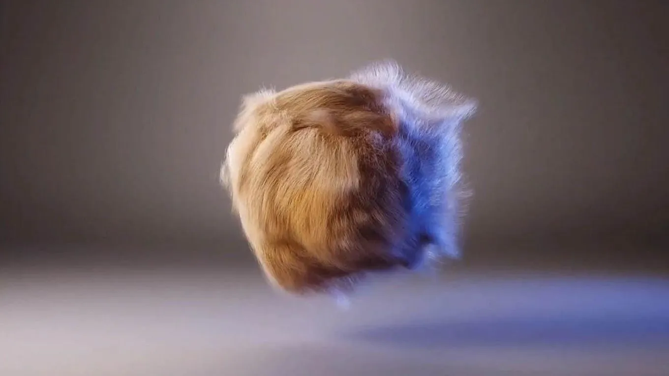 3dsmax毛绒球状模型动画处理视频教程