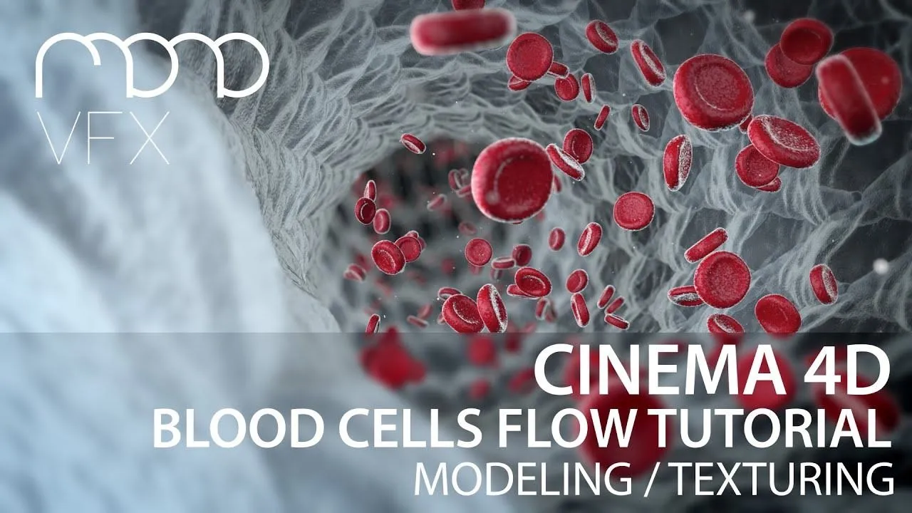 C4D血细胞流动特效动画视频教程 Blood cells flow Cinema 4D Tutorial