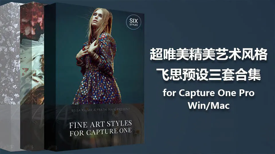 超唯美精美艺术风格飞思预设三套合集 for Capture One Pro