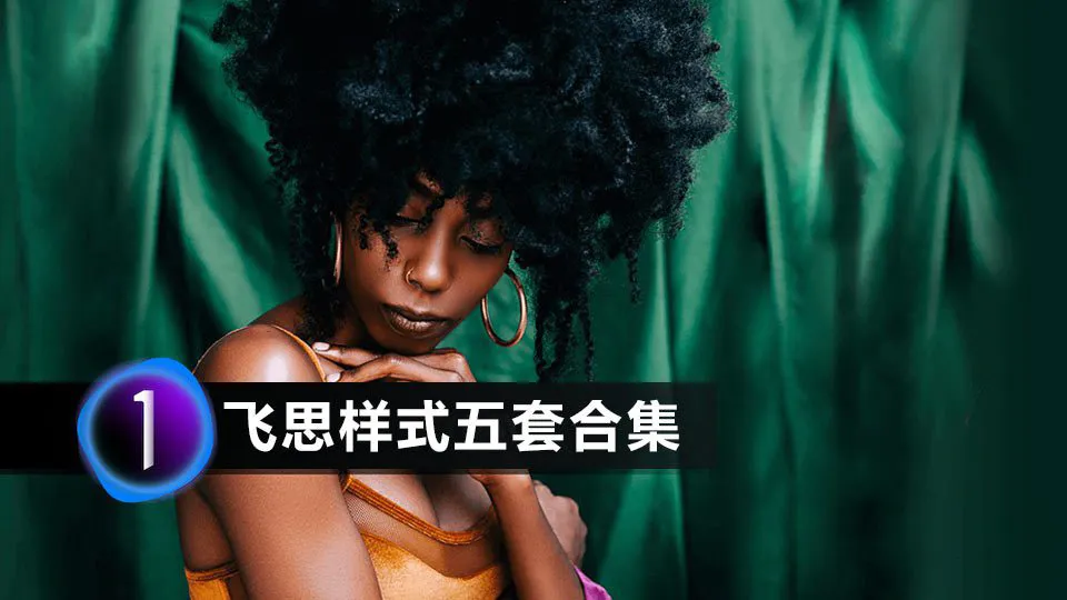 Mastin Labs马斯丁电影胶片飞思样式五套合集for Capture One Pro