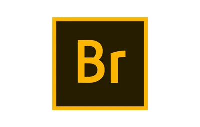 Br 2020稳定终版 Bridge 2020中文/英文完整版免费下载