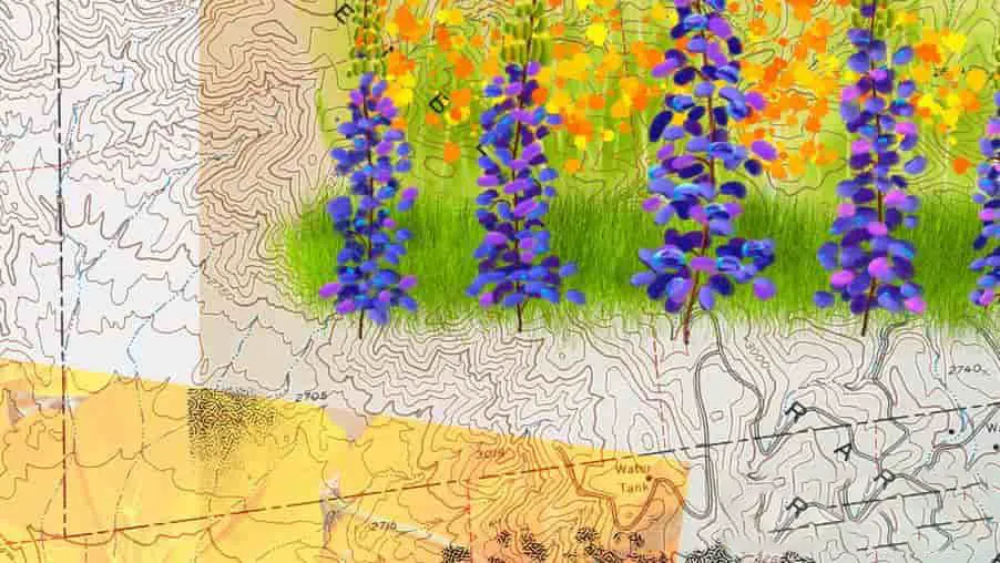 Painter2017数字绘画基本培训视频教程 Painter 2017 Essential Training