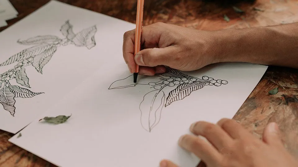 绘画基础植物插图绘制技巧和技术入门训练视频教程