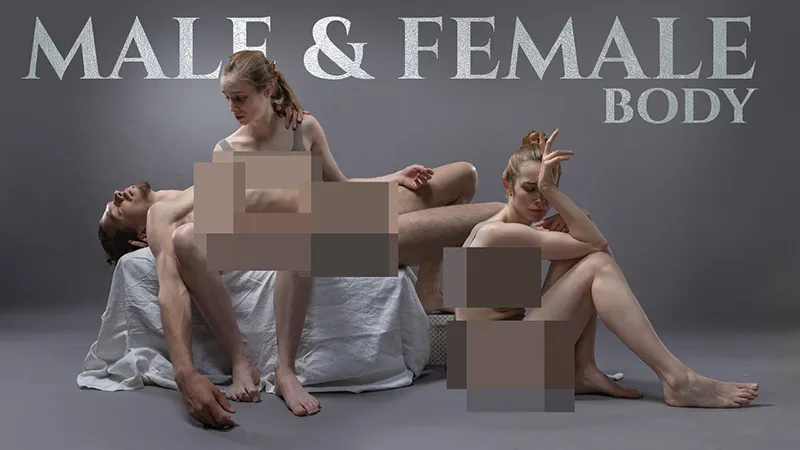 476张男性女性艺术姿势造型高清参考图合集