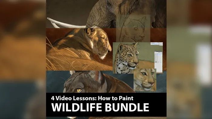PS野生动物数码手绘艺术训练视频教程