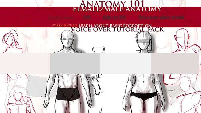 角色整体比例基础训练视频教程 Gumroad Proportion 101 by Sakimi Chan
