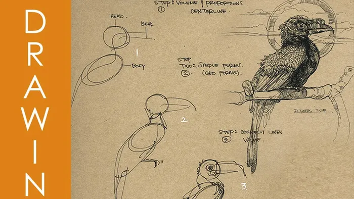 动物手绘艺术技巧视频教程 Foundation Patreon Term 10 Dynamic Sketching Organics