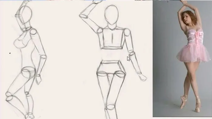 《人体知识-基础篇》系统学习视频教程