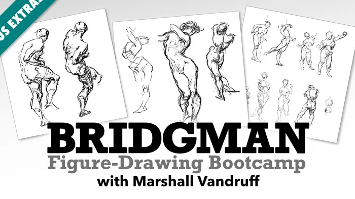 Bridgman国外人体解剖素描大师级解析视频教程 Bridgman Figure Drawing Bootcamp with Marshall Vandruff