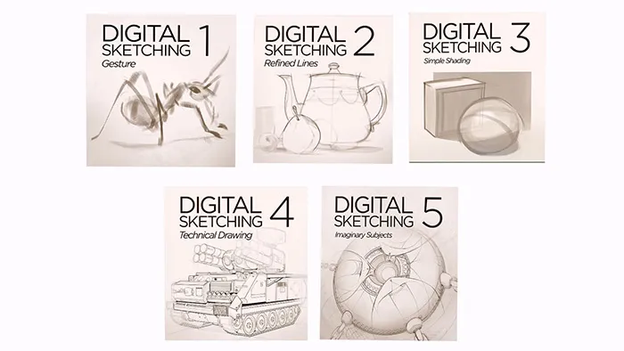 入门级简单素描轮廓数字绘画训练视频教程