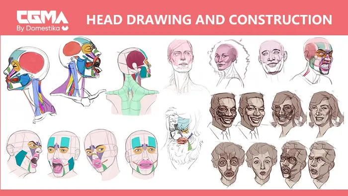 人物头部结构数字绘画大师级训练视频教程 Head Drawing and Construction