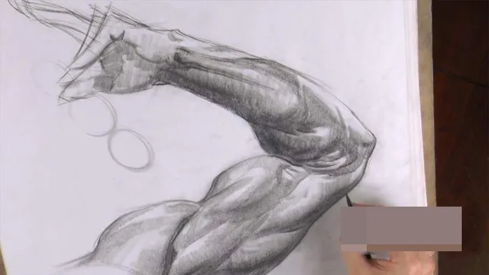 人体四肢解剖素描传统手绘视频教程