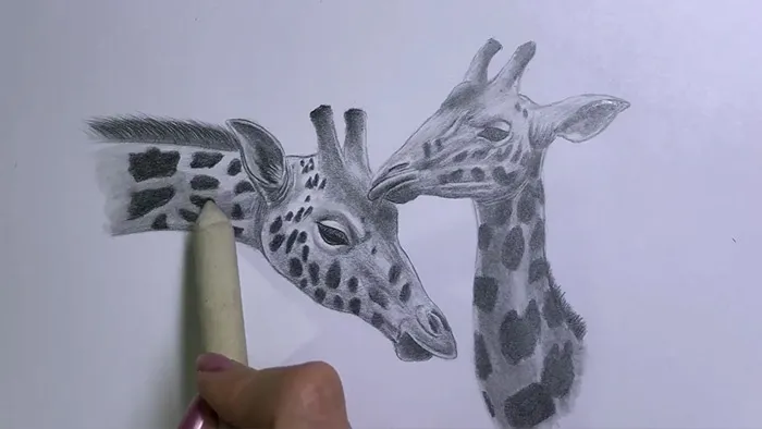 动物角色铅笔传统素描绘画过程视频教程