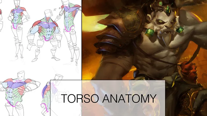 Ahmed Aldoori画师概念艺术角色躯干解剖学视频教程 Torso Anatomy Lesson + Painting!
