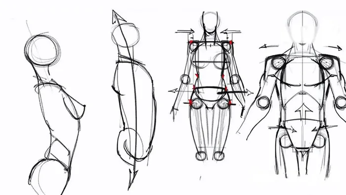 艺用人体解剖实用绘画基础中文视频教程 女性篇