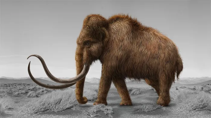 PS灭绝远古生物特效合成视频教程 Resurrecting Extinct Creatures in Photoshop