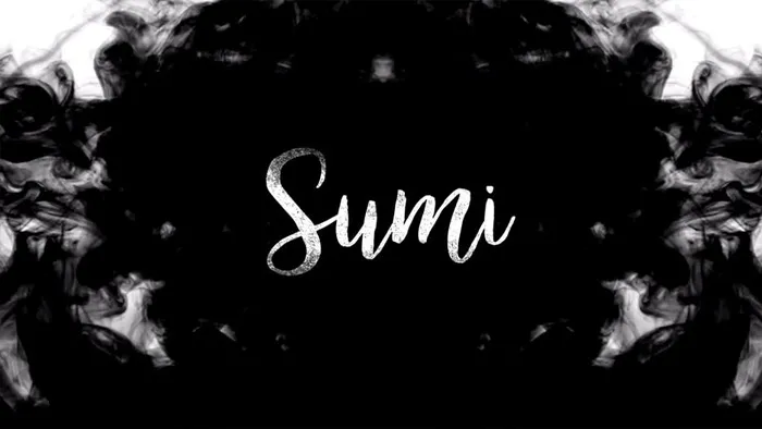 64个水墨烟雾散开晕染慢动作转场合成动画4K视频素材 Sumi Ink Video Transitions