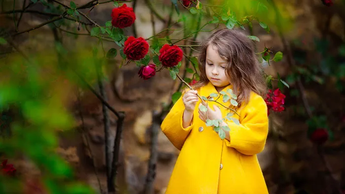 俄罗斯摄影师-Kalmykova Irina唯美儿童艺术后期修饰第24课视频教程