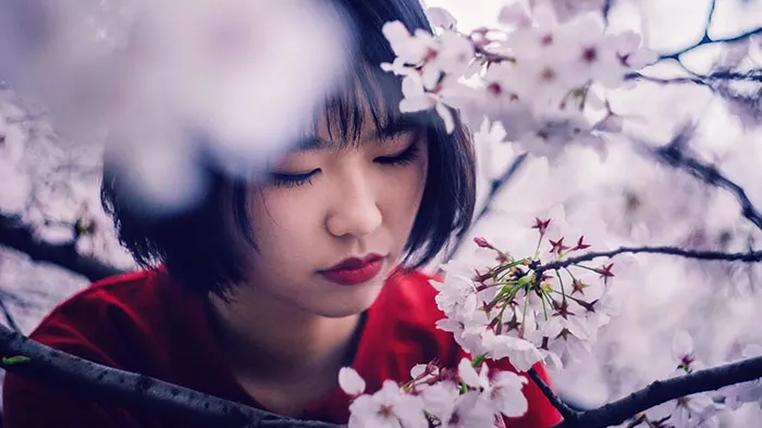 Phlearn Pro-如何创建掌握编辑自己的照片和视频LUT视频教程 How to Master LUTs for Photo & Video