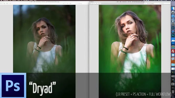 肖像照片后期处理完整流程训练教程 SKILLSHARE WORKFLOW 2.3 DRYAD