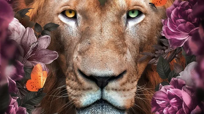 PS现代艺术照片实例制作训练视频教程 Create Floral Contemporary Art in Photoshop