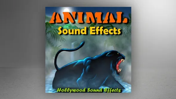 33种配乐音效好莱坞工作室虎豹鸟兽动物音效 Hollywood Studio Sound Effects Animal Sound Effects