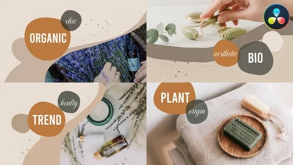 达芬奇模板-莫兰迪色调现代创意优雅有机场景展示美容护肤洗浴产品宣传Organic Scenes for DaVinci Resolve