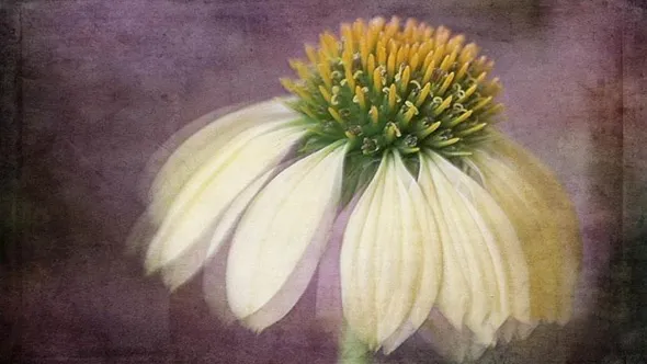 PS添加纹理及后期图像处理视频教程 Working With Textures - Workshop