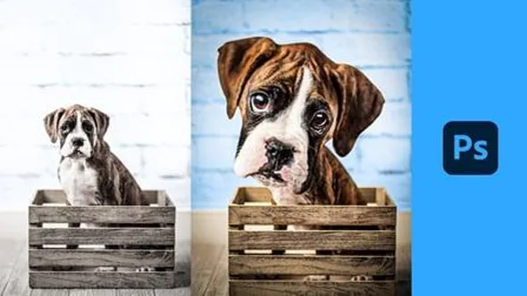 PS创建宠物可爱漫画视频教程 Create Your Pet Caricature From Photographs in Photoshop