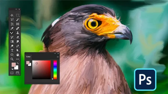 PS初学者图像后期修饰视频教程 Introduction to Adobe Photoshop CC from 0 to intermediate