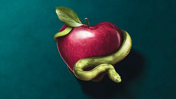 PS产品摄影高概念后期创建情人节主题图像海报工作流程视频教程