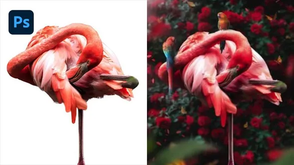 PS大师级时髦火烈鸟角色素材合成海报工作流程视频教程 含素材