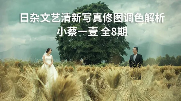 摄影师大咖小蔡一壹日杂文艺清新写真摄影后期PS修图调色解析全8期