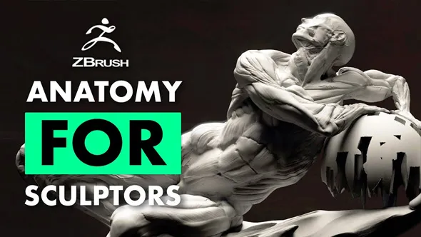 Zbrush人类身体解剖特征雕刻技术视频教程 Fundamental Anatomy for Sculptors