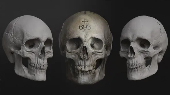Zbrush人类头骨骷髅雕刻制作流程视频教程 Sculpting the Human Skull