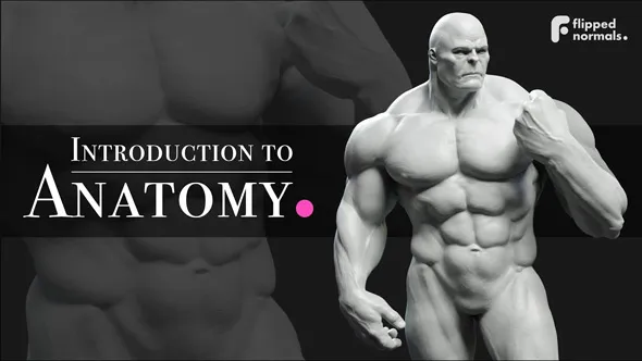 ZBrush人体雕刻解剖学基础核心技术视频教程 Introduction to Anatomy
