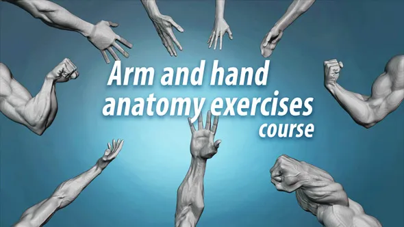 ZBrush人体手臂和手部解剖雕刻建模技术视频教程 Arm and hand anatomy exercises course by Nikolay Naydenov
