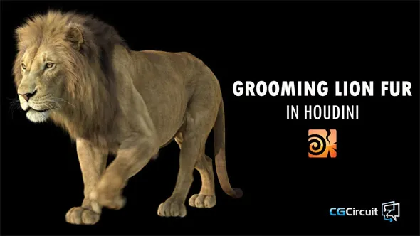 Houdini狮子毛发实例制作大师级视频教程 Grooming Lion Fur in Houdini