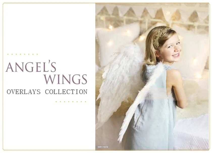 白色翅膀高清叠加合成素材 White Wings Photo Overlays PNG