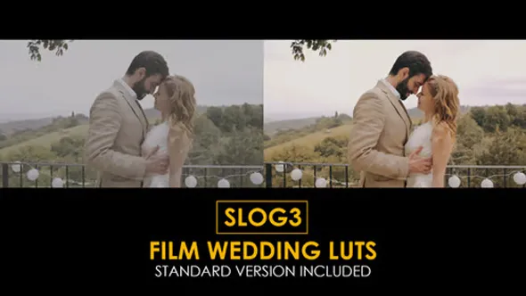 索尼相机SLOG3婚礼视频调色LUTs预设25组 Slog3 Film Wedding And Standard LUTs