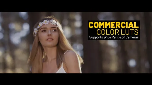 潮流经典时尚广告介绍企业商务LUT调色51种预设文件 LUT Comercial