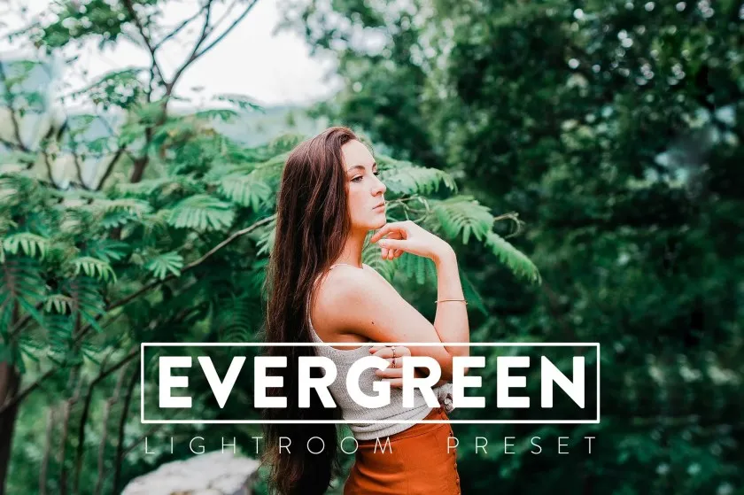 森系黑暗电影胶片情绪人像Lightroom预设与移动LR预设Camera Raw预设 10 Evergreen Lightroom Presets