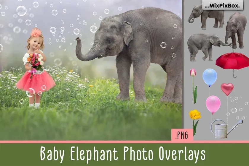 20张童趣小象花伞气球水泡元素照片合成PNG素材 Baby Elephant Photo Overlays