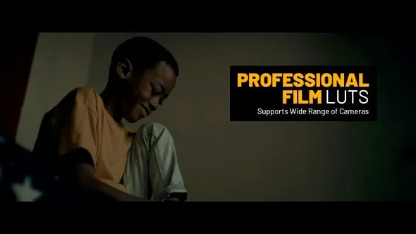 6个专业电影LUT 和 42 个“Log to Rec 709”LUT预设 Professional Film LUTs
