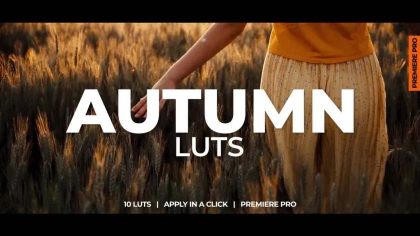 10种秋季暖色调LUTs颜色分级效果LUT预设AE与PR预设 Autumn LUTs