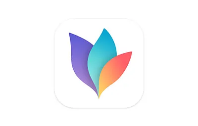 MindNode Next v2025.4.1 中文激活版 Mac思维导图软件